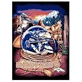 Denver Broncos Woven Tapestry Throw