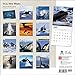 Orcas, Killer Whales 2015 Wall Calendar
