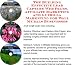 The Guerilla Marketing, Building Effective Lead Capture Web Pages, Affiliate Marketing for Wall Murals Businesses