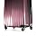 Samsonite Carbon1 DLX 24