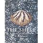 The Shell: A World of Decoration and Ornament