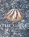 The Shell: A World of Decoration and Ornament