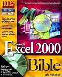 Microsoft Excel 2000 Bible