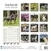 Great Dane (US) Calendar - Only Dog Breed Great Dane (US) Calendar - 2016 Wall calendars - Dog Calendars - Monthly Wall Calendar by Avonside