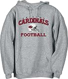 Arizona Wildcats Cardinal Arched Logo Mascot Hoody Sweatshirt