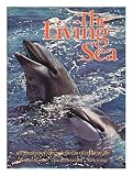 The living sea : an illustrated encyclopedia of marine life