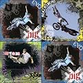 Extreme Sports X Games 4-Piece Wall Art