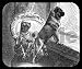 pug19  - Pug Mousepad