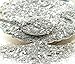 Silver Fusion Multigrain Glitter - 1 oz Jar
