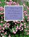 Fifty Easy Old-Fashioned Roses, Climbers, and Vines