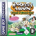 Harvest Moon - Friends of Mineral Town