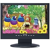 ViewSonic VA1912WB 19-inch Widescreen LCD Monitor (Black)