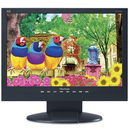 ViewSonic VA1912WB 19-inch Widescreen LCD Monitor (Black)