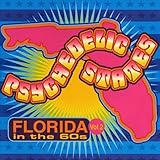 Psychedelic States: Florida in the 60s 2