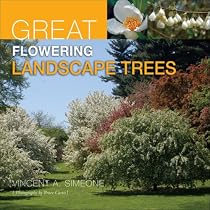 Great Flowering Landscape Trees