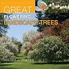Great Flowering Landscape Trees