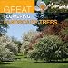 Great Flowering Landscape Trees