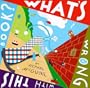 What's Wrong with This Book?