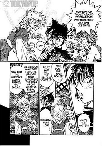 Dragon Knights: v. 10 (Dragon Knights)