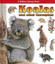 Koalas and Other Marsupials (What Kind of Animal Is It?)