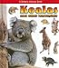 Koalas and Other Marsupials (What Kind of Animal Is It?)