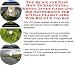 Book The Quick and Easy How To Earn Extra Money, Inner Game and Biz Networking for Animal Flash Cards Web Biz 3 CD Course