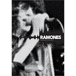 The Ramones book cover