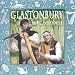 Glastonbury Tor / The Black Swan / The Orchards of Avalon (copyr
