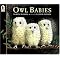 OWL PALS Books Toys DVDs for Kids