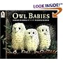 Owl Babies