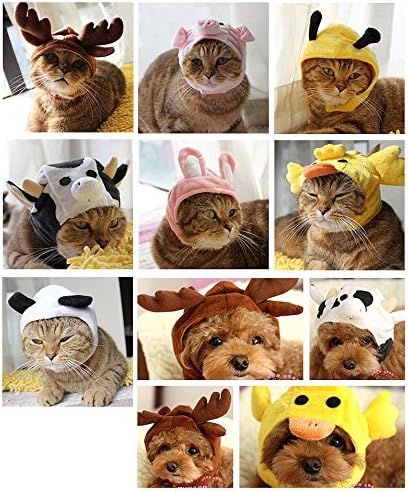 Luckii New Cute Funny Puppy Transfiguration Hat for Dog Puppy Cat Kitty CHICK L