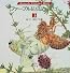 ファーブル昆虫記の虫たち〈3〉 (小学館絵画賞受賞作シリーズ)