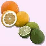 citrus sugars collection