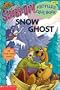 Snow Ghost (Scooby-Doo! Picture Clue Book, No. 9)