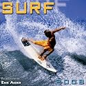 Surf 2008 Wall Calendar
