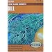 Dill Long Island Mammoth Seeds 200 Seeds