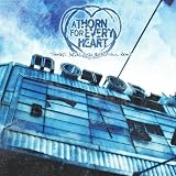 Thorn for Every Heart - Things Aren't So Beautiful Now