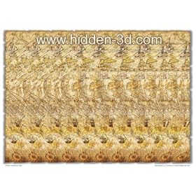 Hidden Treasures Map 18"x13" Stereogram Poster