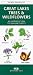 Book Great Lakes Trees & Wildflowers: An Introduction to Familiar Plants (Pocket Naturalist)