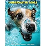 Underwater Dogs 2015 Weekly Engagement Calendar