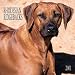 Rhodesian Ridgebacks 2001 Calendar