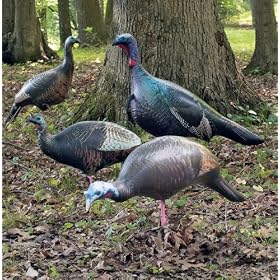 4 Ultimate Turkey Decoys by 