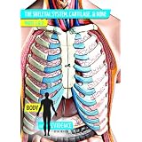 Bdoy of Evidence: Skeletal System, Cartilage, & Bone