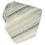 Roberto Cavalli - Roberto Cavalli Light Gray Variegated Lines Woven Silk Tie