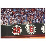 Good Sports Art Minnesota Twins Amazing Metrodome Catch Lithograph