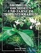 Bromelien, Orchideen und Farne im Tropenterrarium