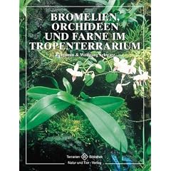 Bromelien, Orchideen und Farne im Tropenterrarium