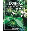 Bromelien, Orchideen und Farne im Tropenterrarium