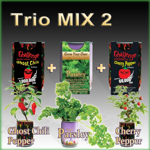 Grow Your Own Peppers (All-In-One Trio Pack: Ghost Chili + Cherry Pepper + Parsley)