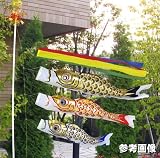 ��ŷε�� �޿���ή���ե�����ɸ񥻥å�4��6�����å�